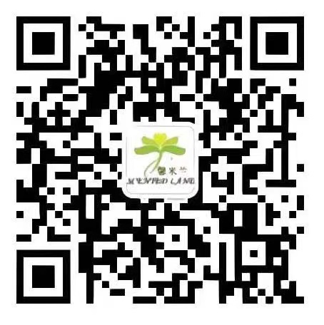 WeChat account