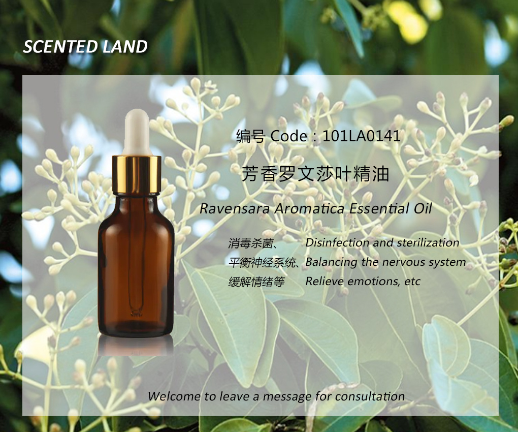 Aromatic Rowansa Leaf Essential Oil