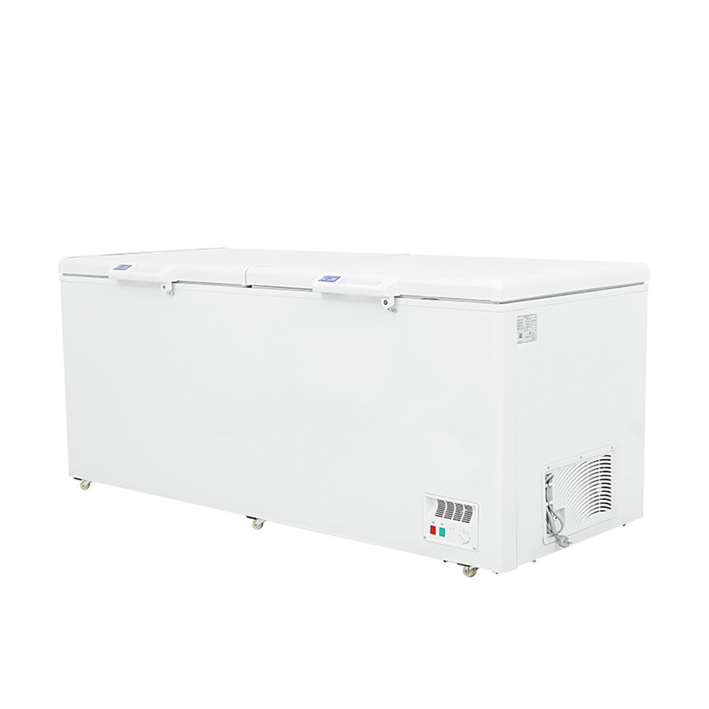 BD-1000 Commercial deep freezer