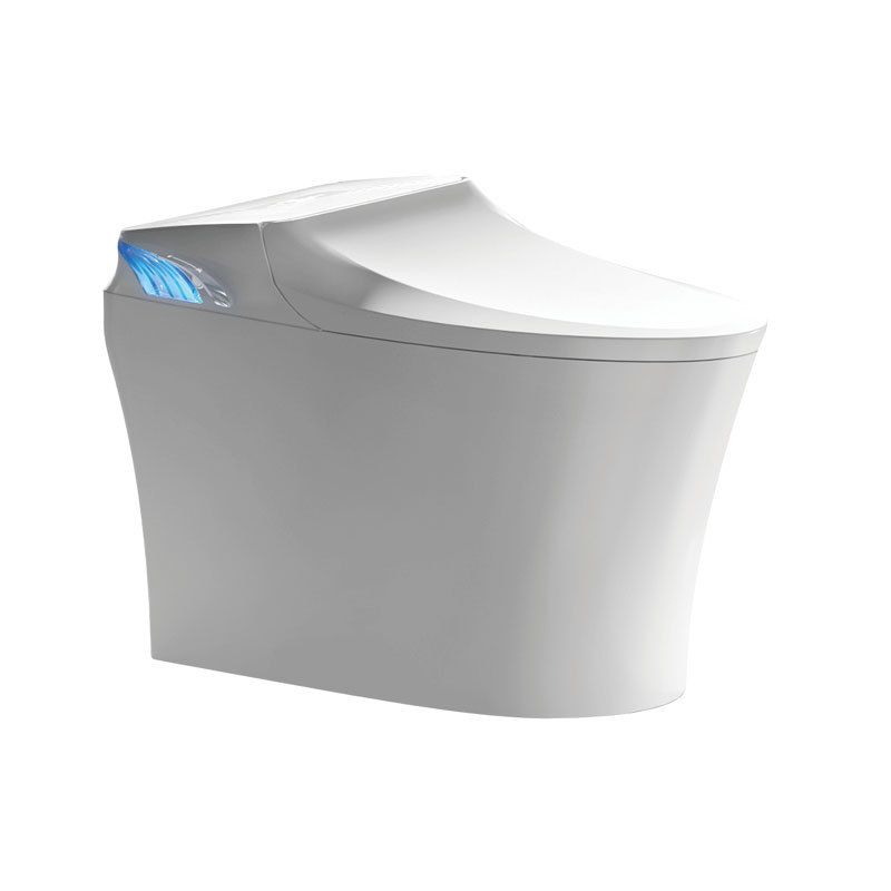 Y1 intelligent toilet
