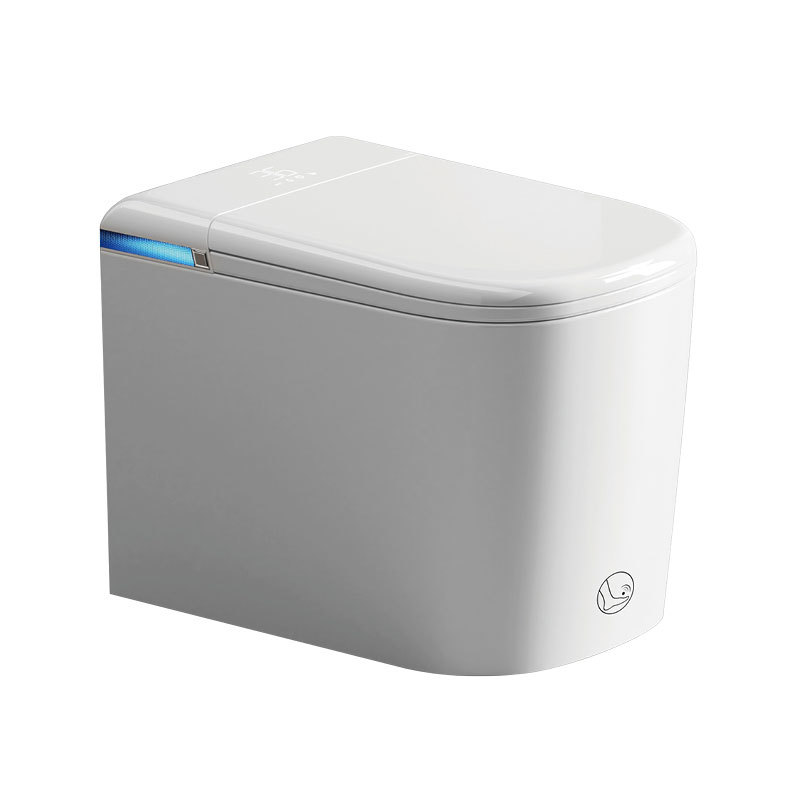 Y3 intelligent toilet