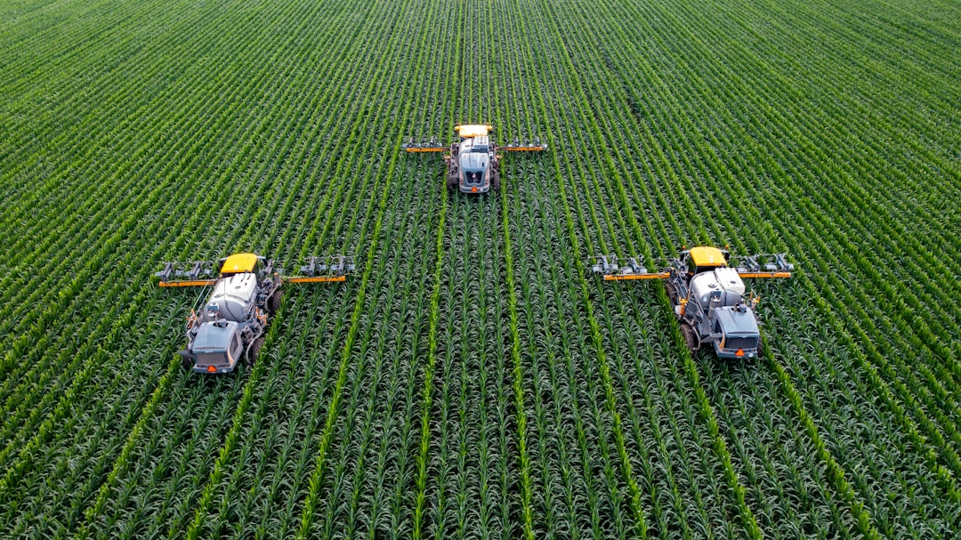What nutrients should be added to the plant growth stage