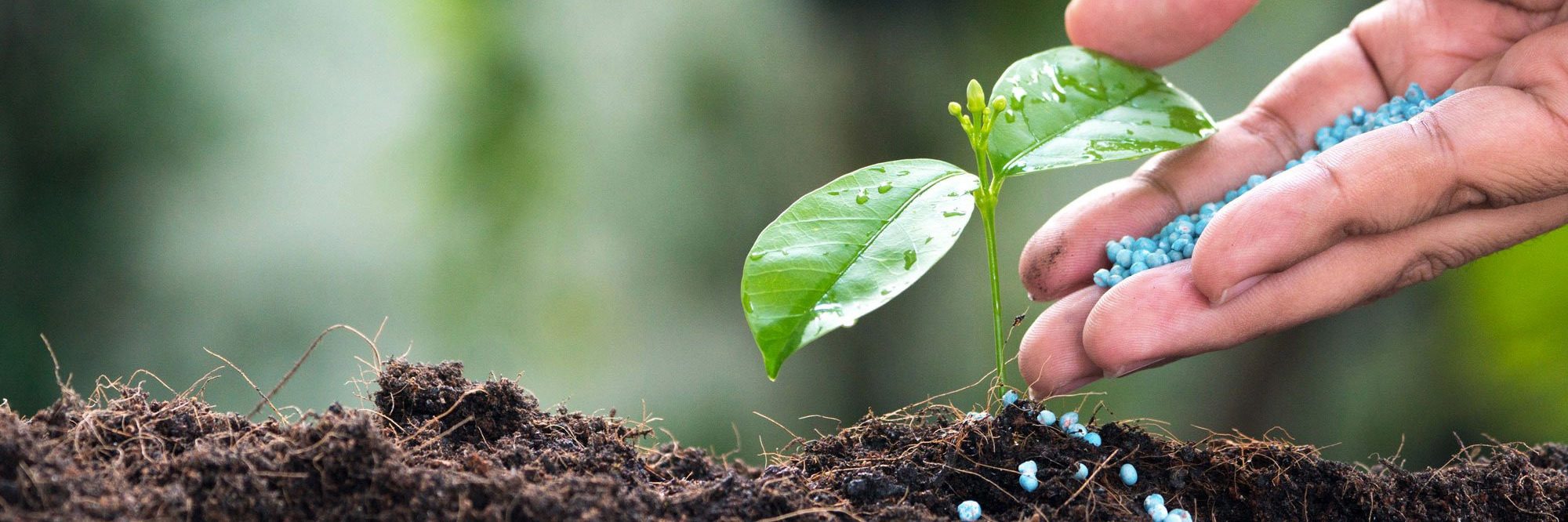 BASF Fertilizer