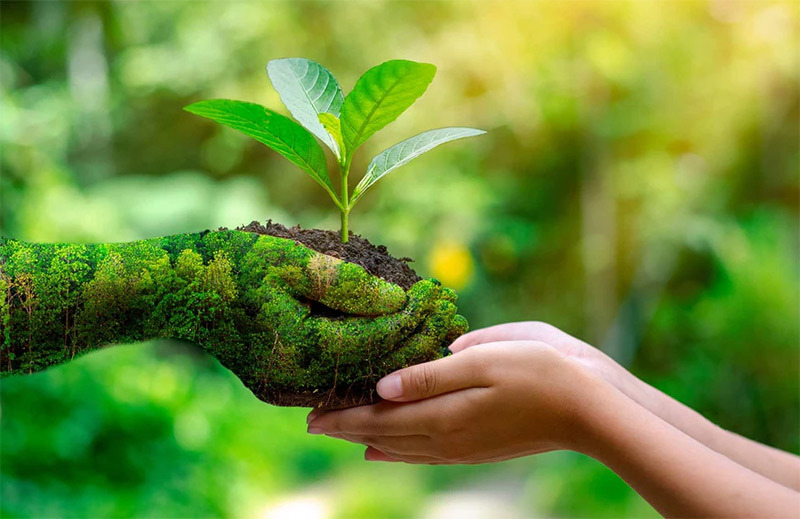 Hebei China Tao BASF Fertilizer Co., Ltd. Hebei China Tao BASF Fertilizer Co., Ltd.