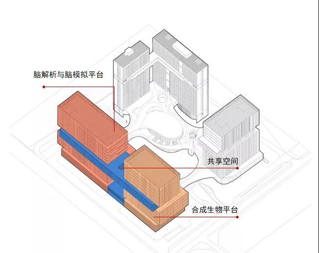 匯健集團(tuán)中標(biāo)國(guó)內(nèi)史上規(guī)模最大單體實(shí)驗(yàn)室專項(xiàng)工程——光明科學(xué)城合成生物平臺(tái)！