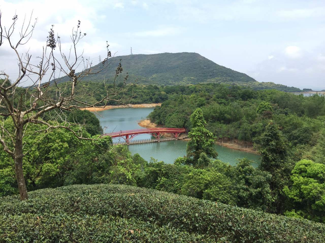 深圳東部華僑城茶溪谷一日游之旅