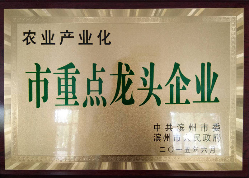 市重點龍頭企業(yè) 市重點龍頭企業(yè)