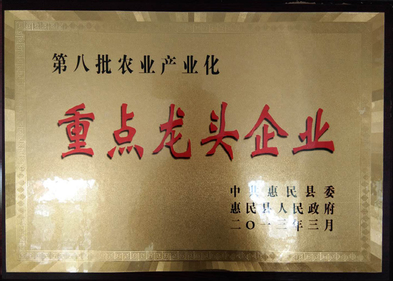 重點龍頭企業(yè) 重點龍頭企業(yè)