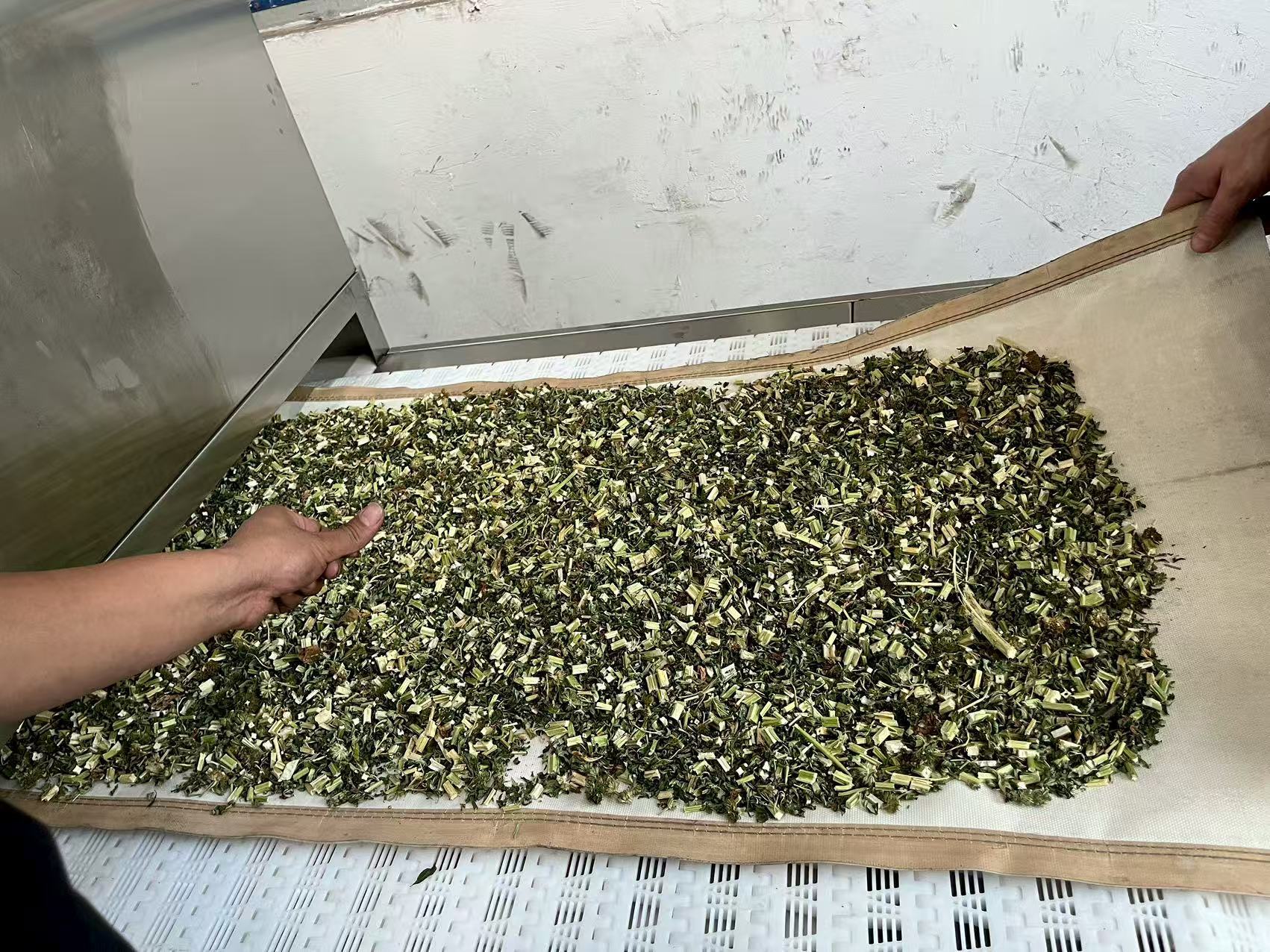 微波殺青設(shè)備