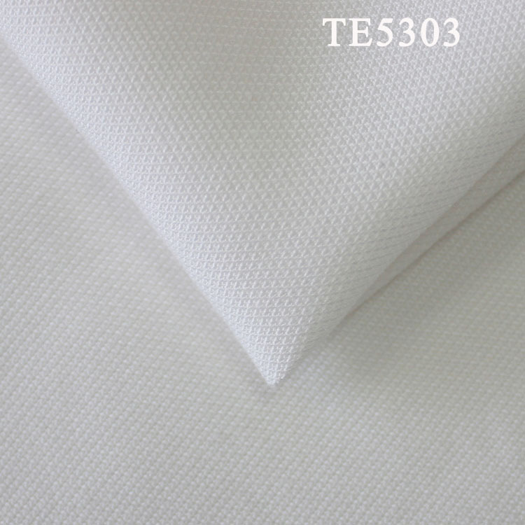 30S薄型小提花TENCEL時裝休閑面料  TE5303杭州天帛
