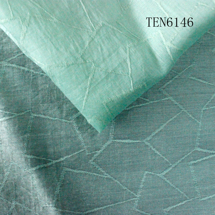 TEN6146天絲提花時(shí)尚面料