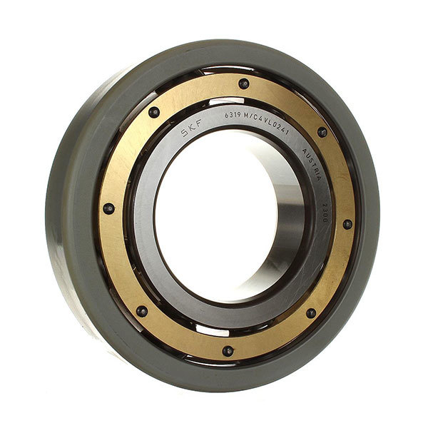 SKF Traction Motor Drive System Bearings-1