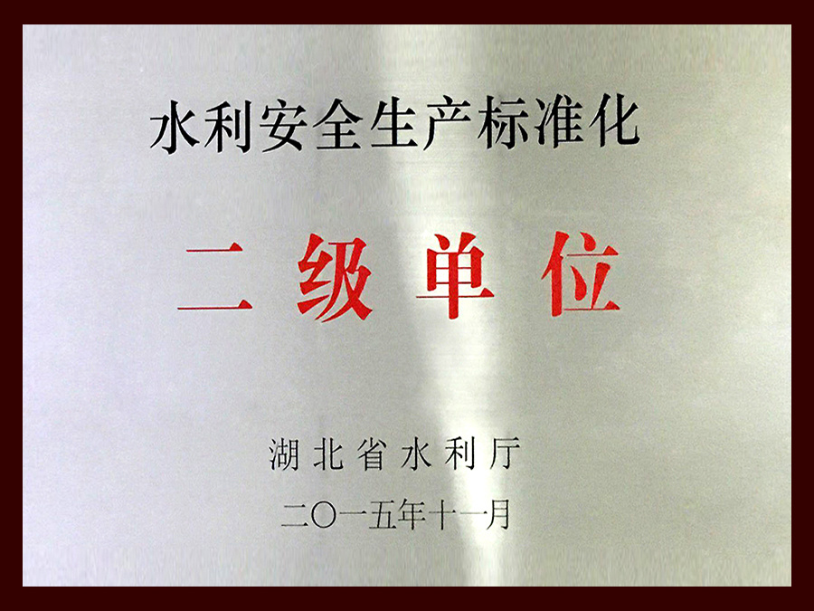 水利安全生產(chǎn)標(biāo)準(zhǔn)化-二級(jí)單位