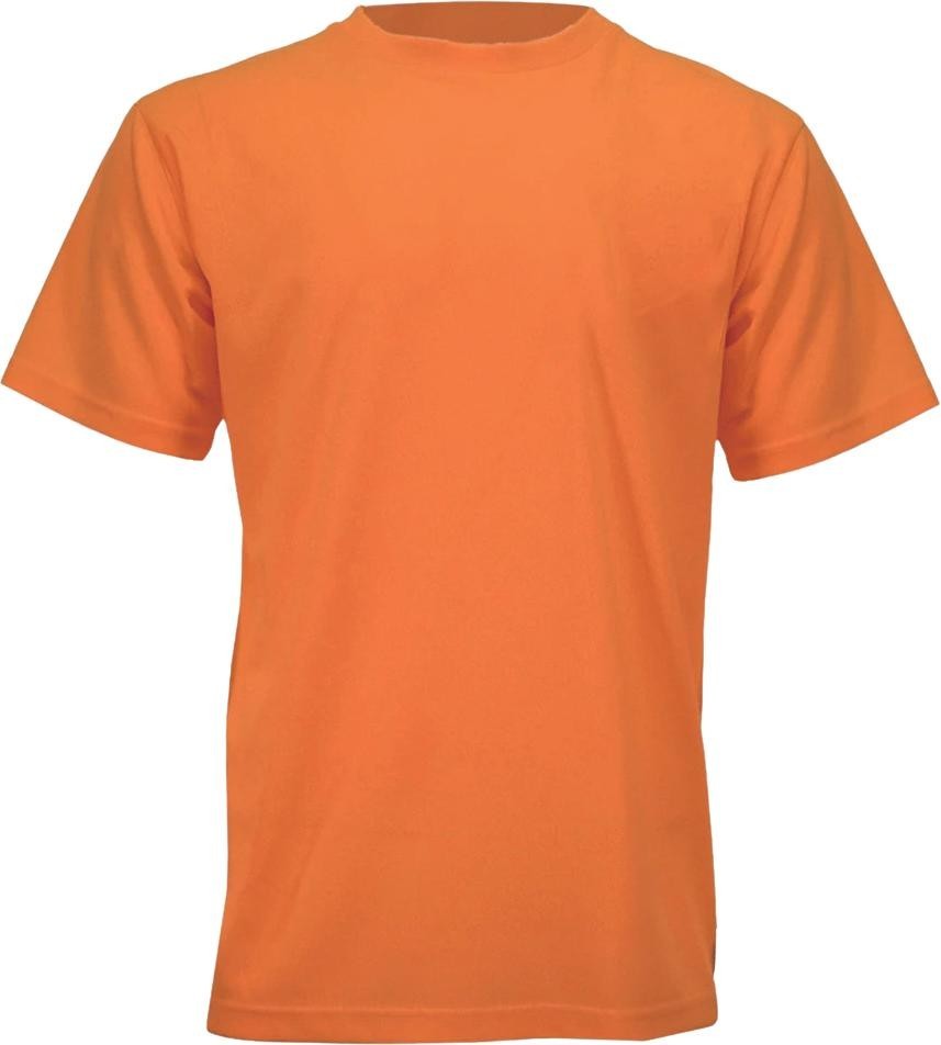 TS-TS01O