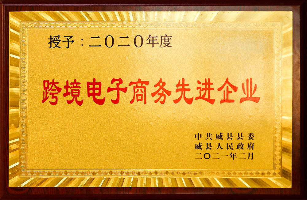 跨境电商优秀企业