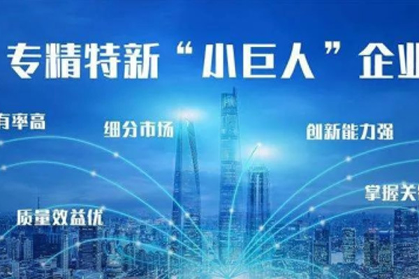巨冈资讯