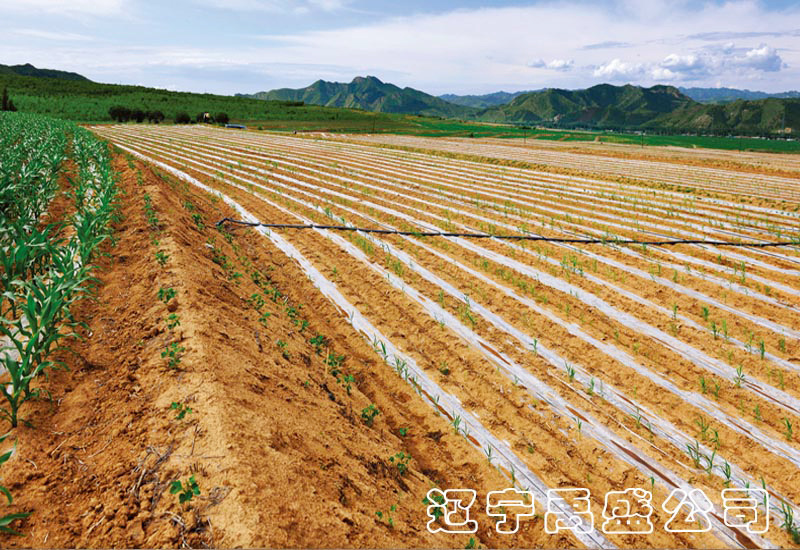 遼寧禹盛生態(tài)