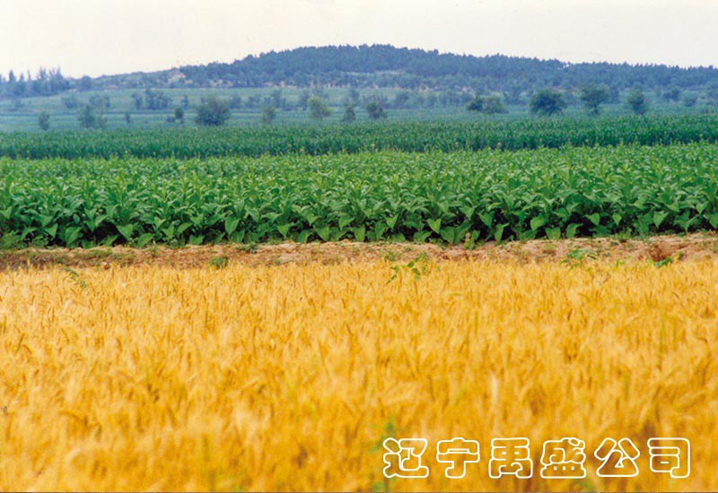 遼寧禹盛生態(tài)