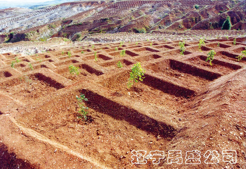 遼寧禹盛生態(tài)