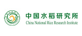 图片名称