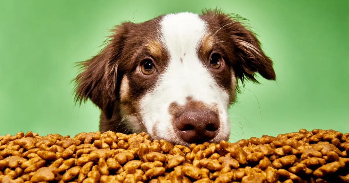 Dog Food Bagging Machine