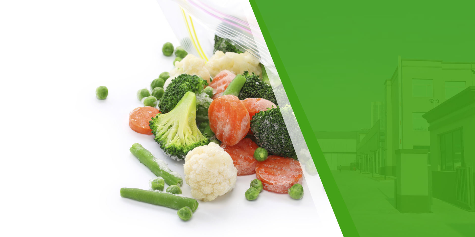 Dongyang Technology Research Food Equipment