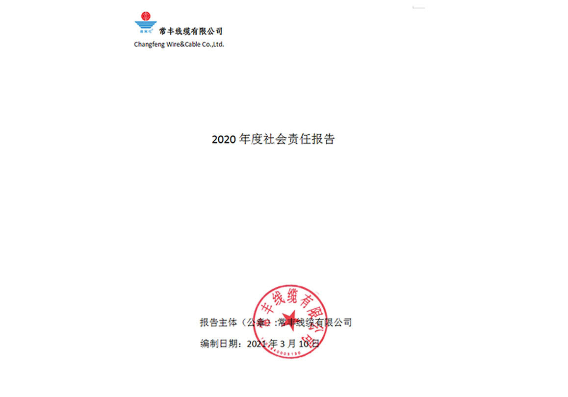 2020年度社會責(zé)任報告