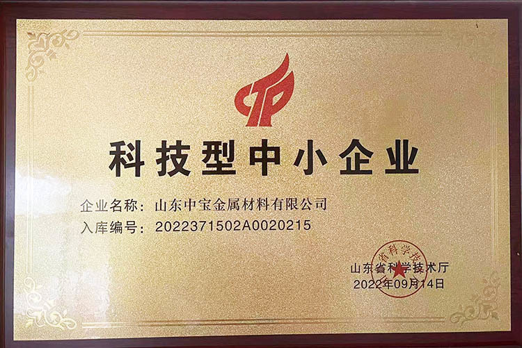 科技型中小企业