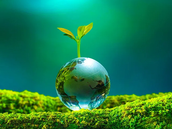 Protect the environment