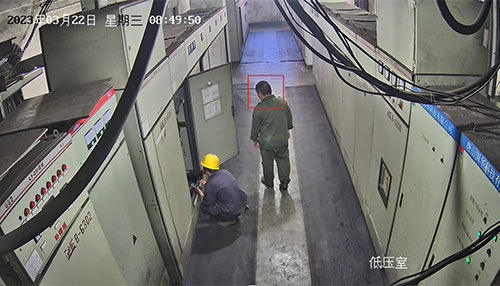 新葡的京集团电气