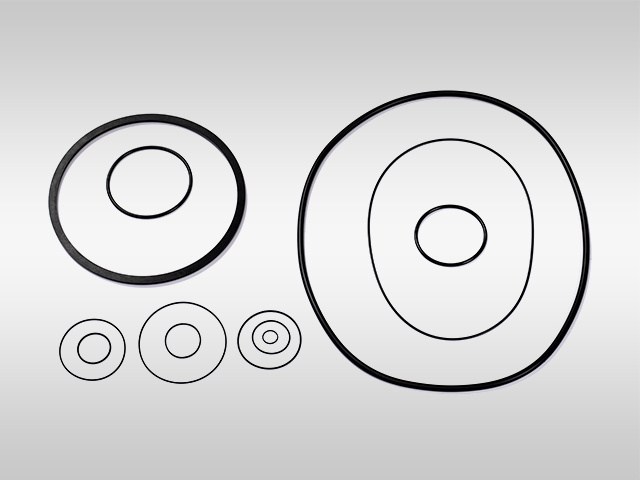 Sealing ring