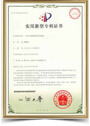 Utility model patent certificate Utility model patent certificate
