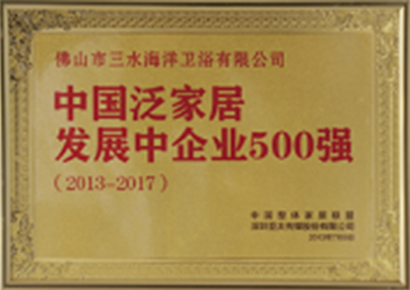 Top 500 Developing Enterprises in China