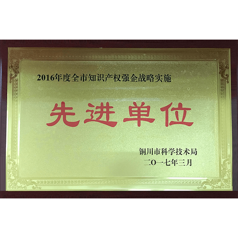 2016年度全市知識(shí)產(chǎn)權(quán)強(qiáng)企戰(zhàn)略實(shí)施
先進(jìn)單位