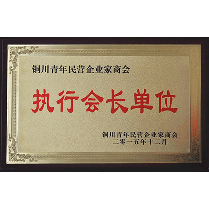 銅川青年民營(yíng)企業(yè)家商會(huì)
執(zhí)行會(huì)長(zhǎng)單位