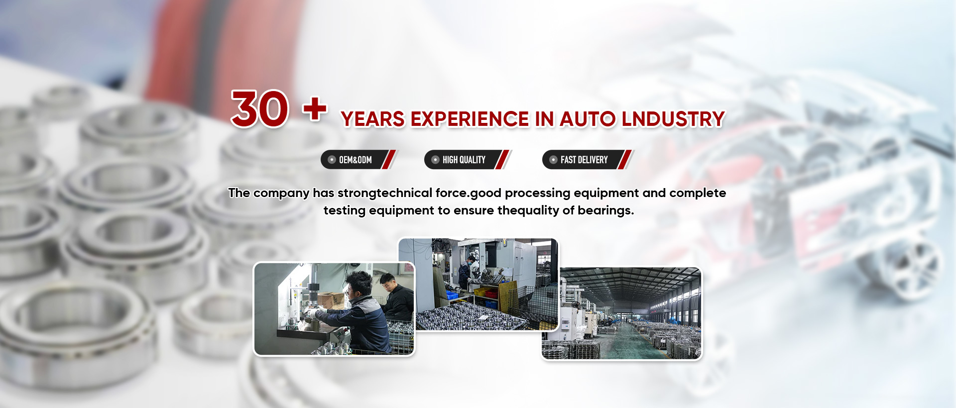 30 + Years Experience In Auto lndustry