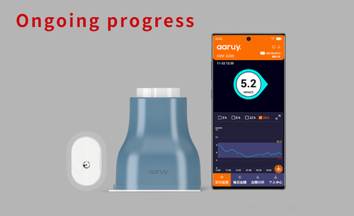Continuous Glucose Monitoring System