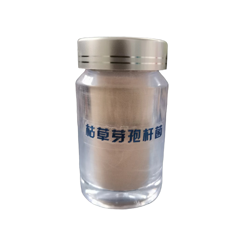 枯草芽抱桿菌