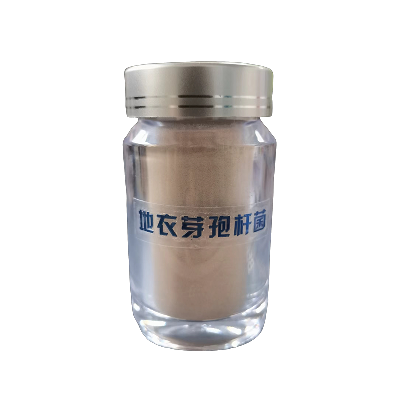 地衣芽抱桿菌