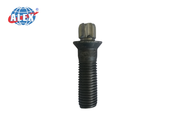 Torx bolt with hex flange nut  for rail cars