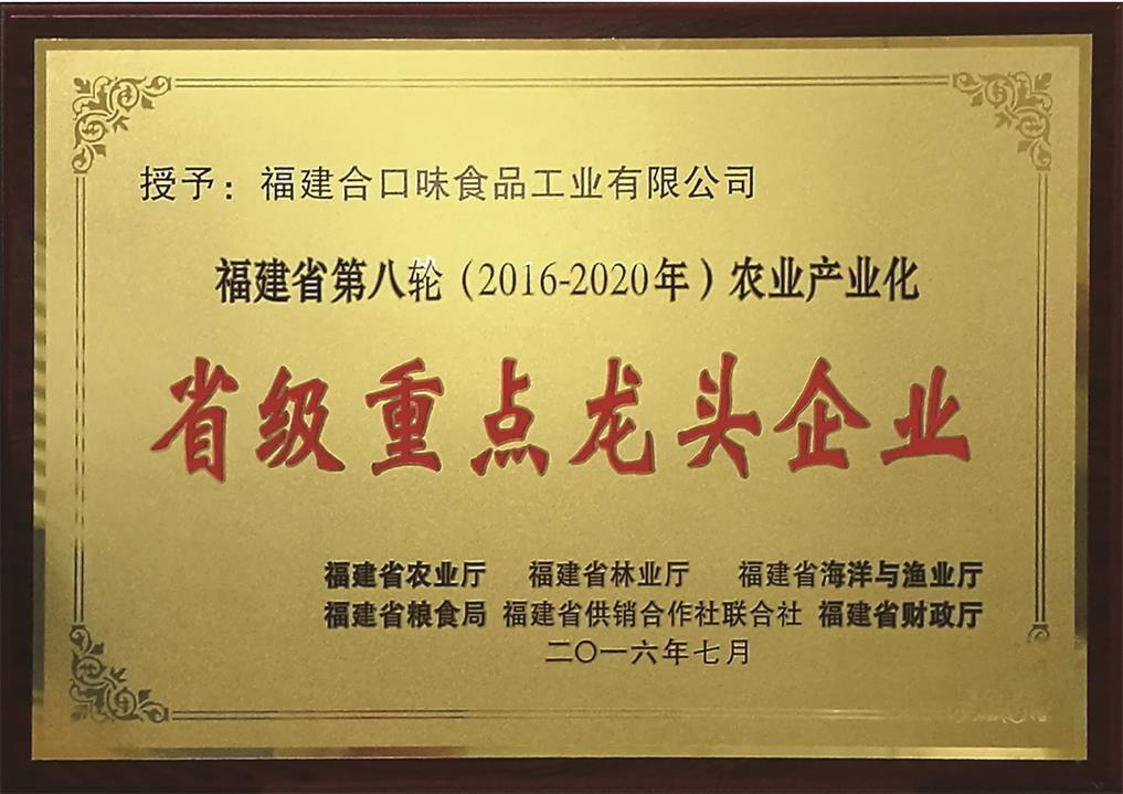 省級(jí)重點(diǎn)龍頭企業(yè)