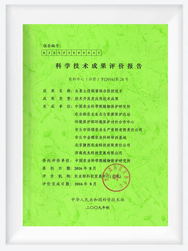 評價報告