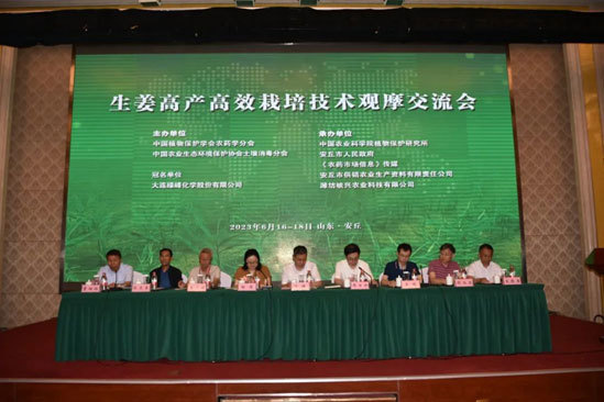 生姜高產(chǎn)高效栽培技術(shù)觀摩交流會