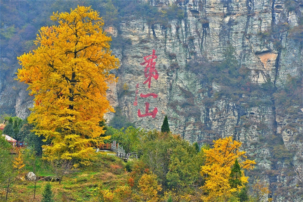 秋色，染過(guò)武當(dāng)山的紅葉