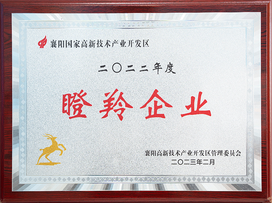 2022年度瞪羚企业