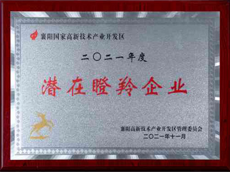 2021年度潜在瞪羚企业