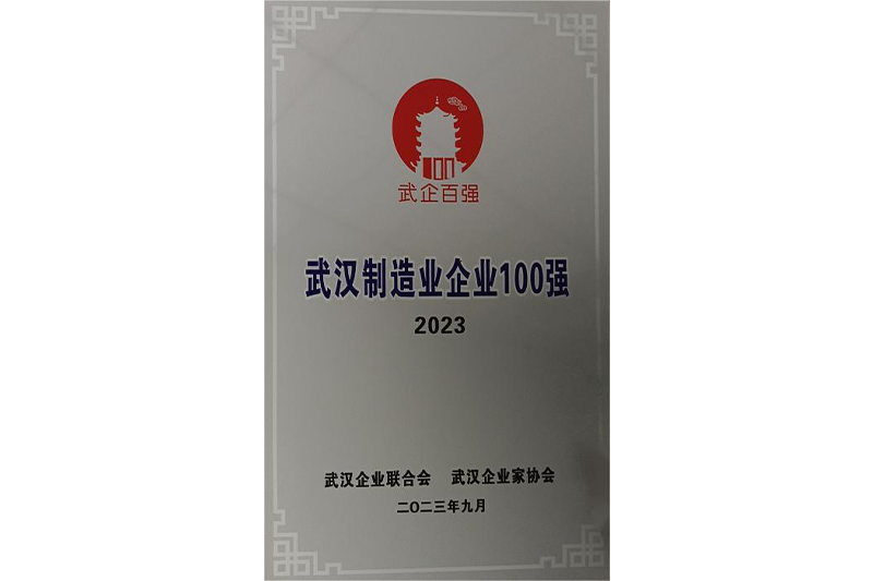 Wuhan Top 100 Manufacturing Enterprises