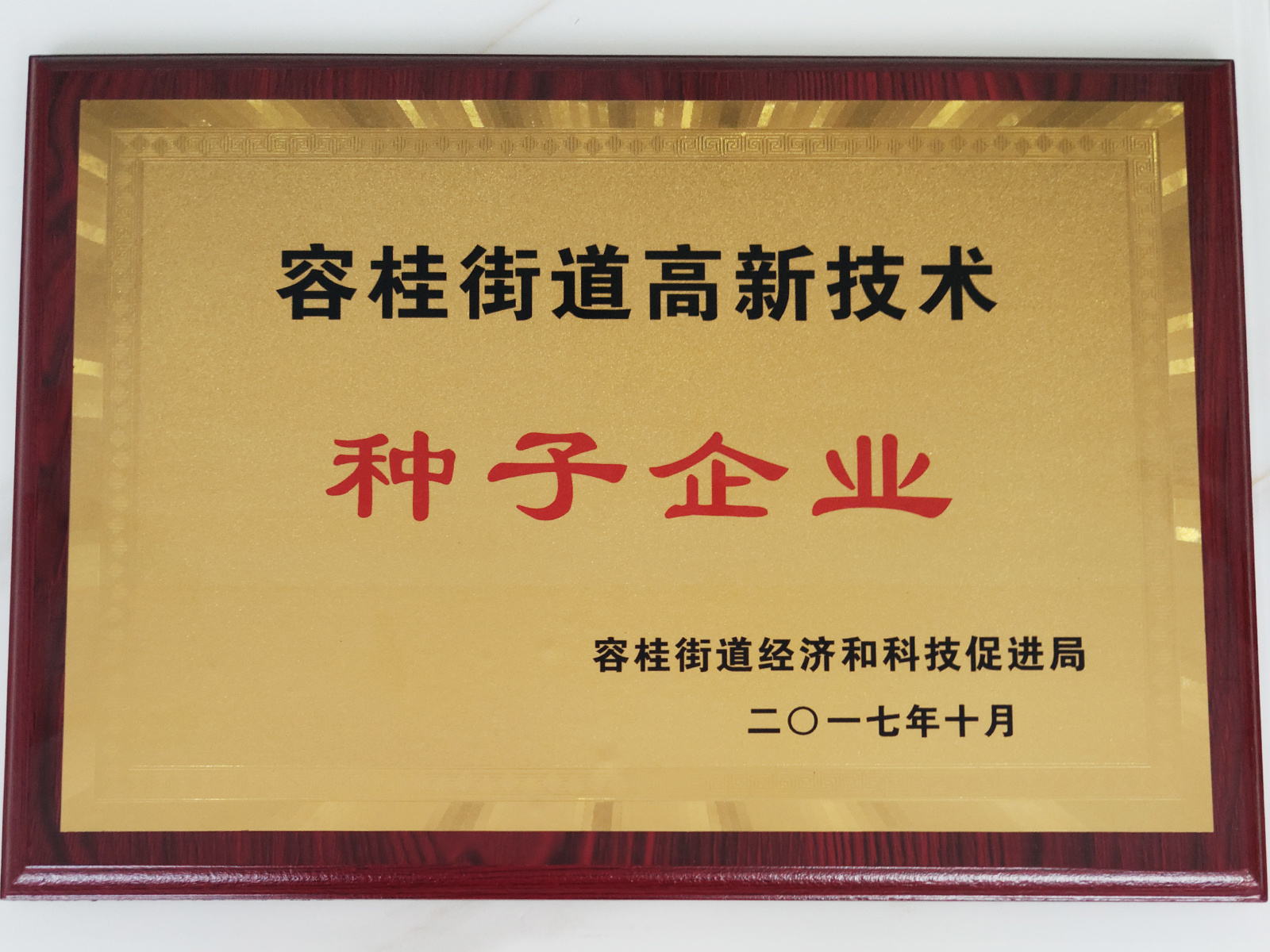 种子企业