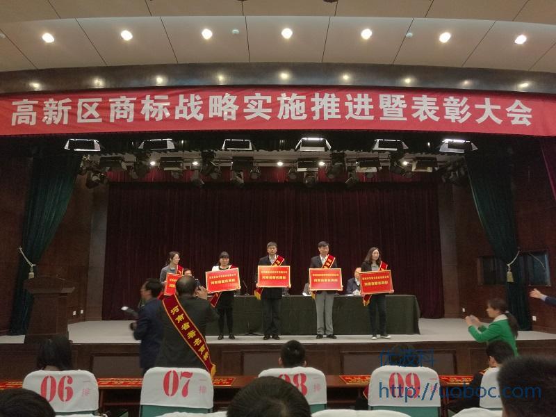流量查询网站