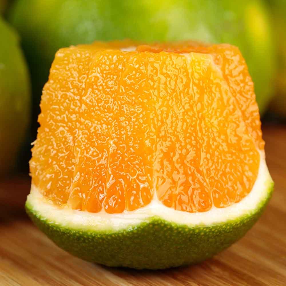 Septembre orange